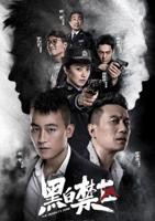 黑白禁区免费观看全集电视剧结局