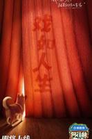 向往的生活第八季免费观看完整版
