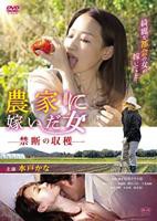 电影《春妇传》完整版