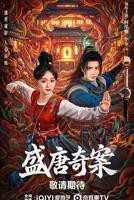 盛唐奇案电视剧免费观看