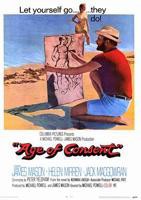 《沙滩上的秘密》